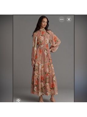 Anthropologie Blush Floral Maxi Dress with Long Sleeves NWT